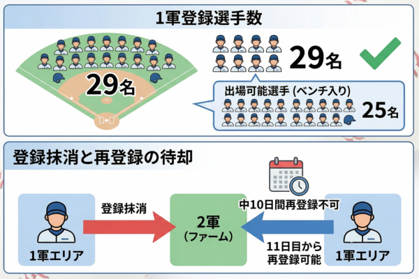 プロ野球の1軍登録ルールのイメージ図解画像