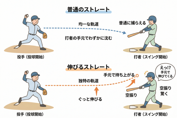 ただ速いだけではなく、打者の手元でぐっと伸びてくる独特の軌道を持っているストレートのイメージ図解画像